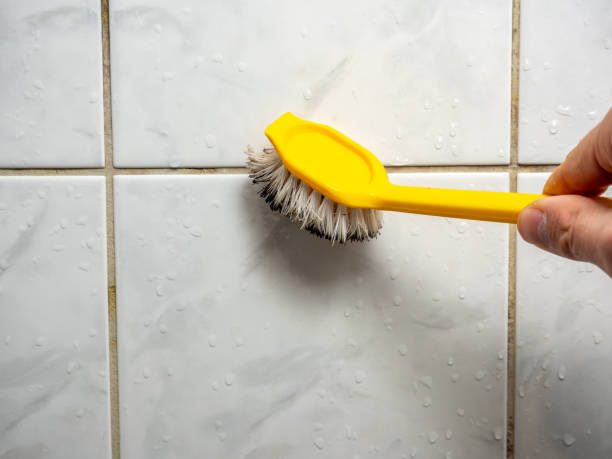 Best Affordable Mold Removal  in Union, MS