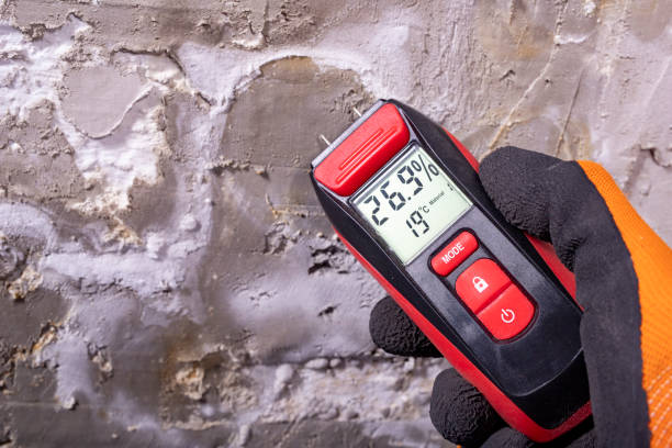 Best Mold Removal Process  in Union, MS