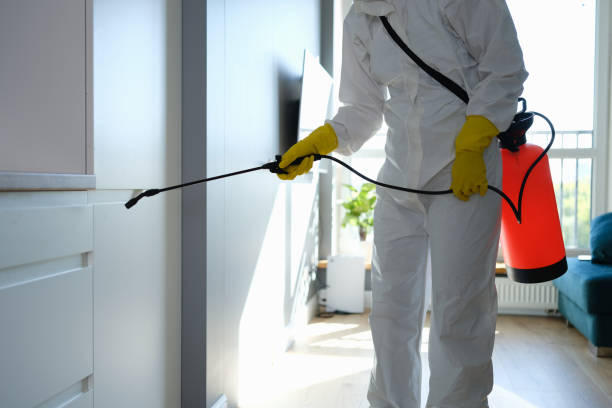 Best Attic Mold Removal  in Union, MS