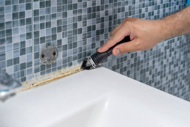Best Office Mold Removal Services  in Union, MS