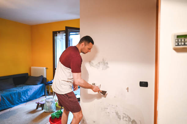 Best Residential Mold Removal  in Union, MS